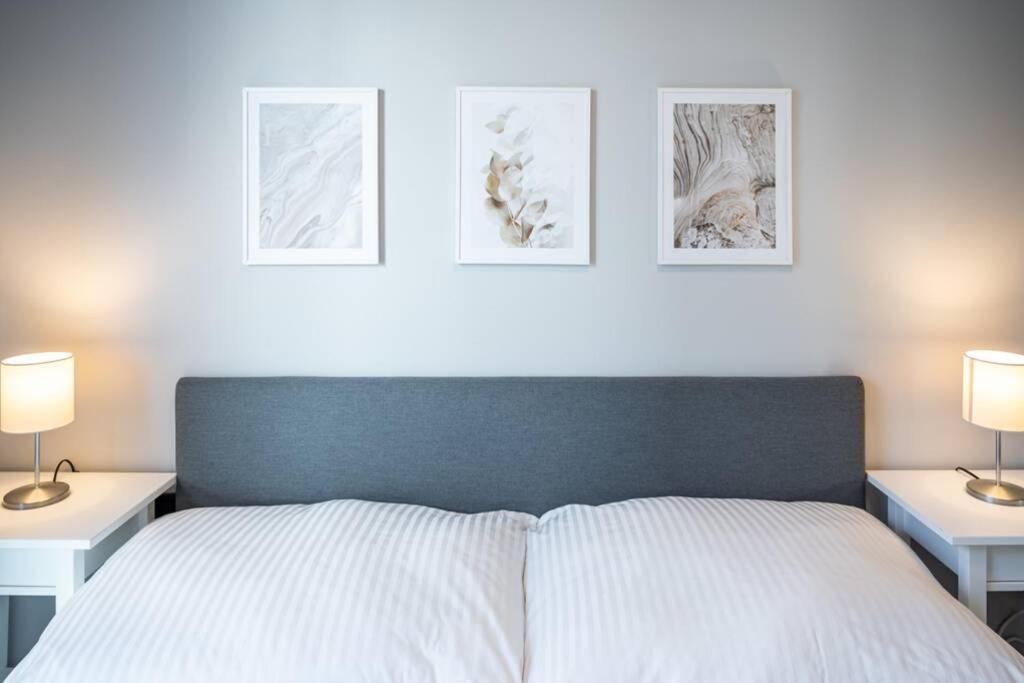 Beautiful In Vienna's Heart 1d Appartement